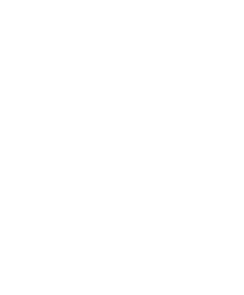 Festival Tronador